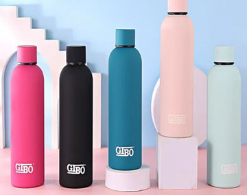 Vacuum Insulated Bottle 500ml 369 (NV)